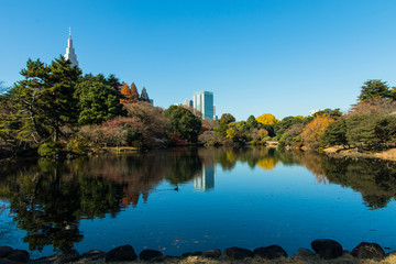 新宿御苑の紅葉風景