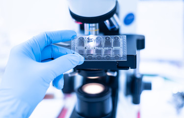Selective focus technician hand holding urine exam plate and out of focus microscope for scientist...