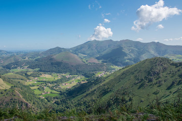 Naklejka premium Bidarray