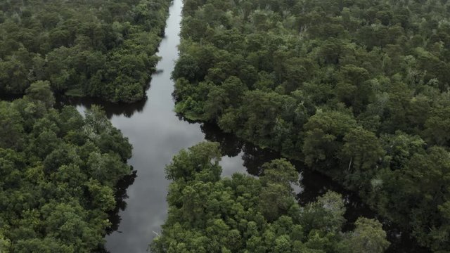 New Orleans Drone Footage Of City Scape