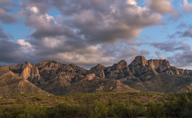 Fototapeta premium Blue Hour Desert Mountain Landscape - Tucson, Arizona