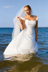 Fototapeta na wymiar bride in the river