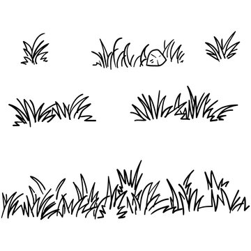 doodle grass illustration collection handdrawn style