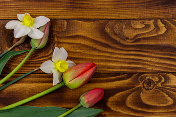 Bouquet of daffodils and red tulips on wooden background. Greeting card for Easter, Valentine's Day, Women's Day and Mother's Day. Top view, copy space