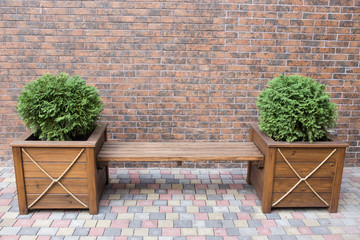 Bench for rest with bushes on a background of a brick wall.