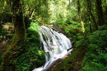 Beautiful waterfalls in Thailand