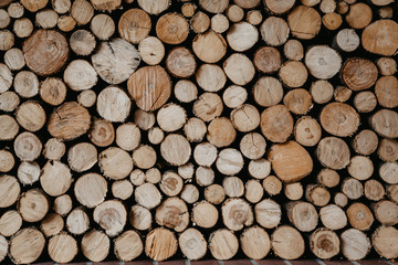 Chopped round section firewood in rows