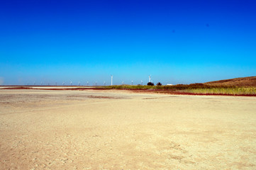 Rose Lemuriyske salt lake (Sivash), Kherson region