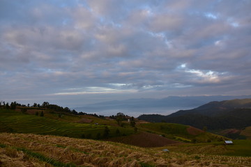 Fototapeta premium Rice fields in the mountains in Thailand