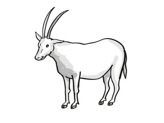 scimitar oryx or scimitar-horned oryx Endangered Wildlife Cartoon Mono Line Drawing
