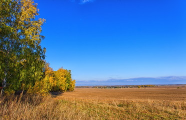 Autumn landscape in the southeast of the Moscow region