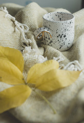 Fototapeta na wymiar Cup of tea on a warm cozy plaid with autumn leaves.