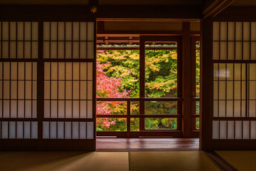 日本の秋 滋賀 旧竹林院⑥ 　Autumn in Japan, Shiga Prefecture,former Chikurin-in ⑥