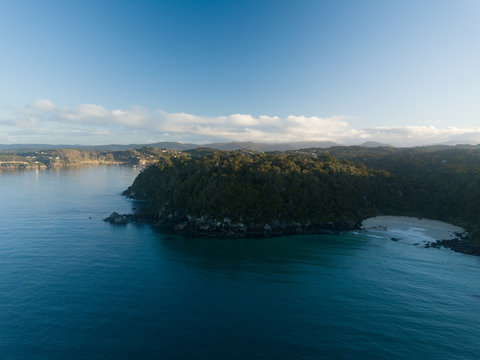 Stewart Island Bird Sanctuary New Zealand