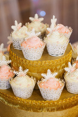 Obraz na płótnie Canvas cupcake in pastel colors with snowflakes on it
