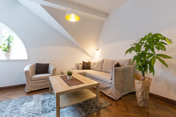 Interior of a living room in attic loft apartment