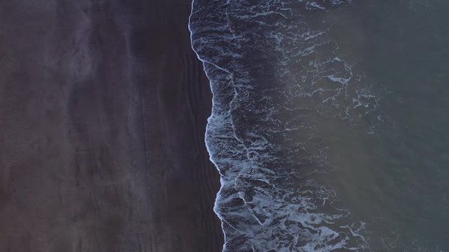 Shore