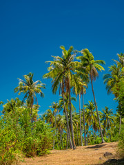 Obraz premium Rawai beach in Phuket island