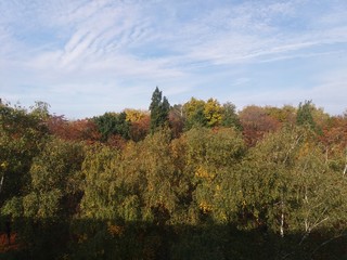 Autumn.nature.landskape.trees.forest.