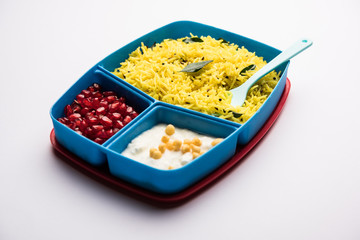 Lunch Box / Tiffin for Indian kids, contains lemon rice, nahi-boondi and pomegranate or Anar. selective focus