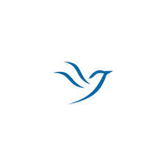 Bird logo design vector template