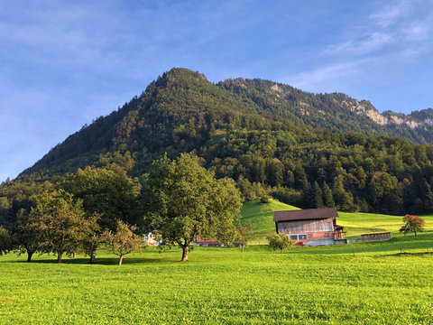 Mountain peak Nollen with mixed forest and along Lake Lucerne or Vierwaldstaetersee lake (Vierwaldstattersee or Vierwalds&auml;ttersee), Buochs - Canton of Nidwalden, Switzerland