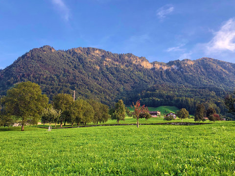 Mountain peak Nollen with mixed forest and along Lake Lucerne or Vierwaldstaetersee lake (Vierwaldstattersee or Vierwalds&auml;ttersee), Buochs - Canton of Nidwalden, Switzerland