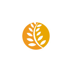 Wheat agriculture farming logo design vector template