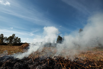 a column of smoke in the field, fires, fire in nature, the destruction of tree plants.