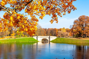 Gatchina park in autumn foliage, Russia