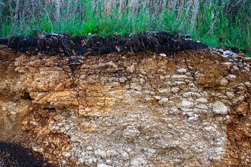 Soil cut-sandstone, stones, clay, sand structure and layers. slice of sand with layers of different structures. Layers of sedimentary sandstone rock