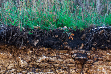 Soil cut-sandstone, stones, clay, sand structure and layers. slice of sand with layers of different structures. Layers of sedimentary sandstone rock
