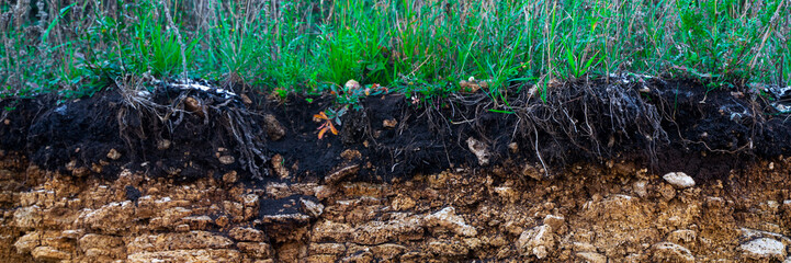 Soil cut-sandstone, stones, clay, sand structure and layers. slice of sand with layers of different structures. Layers of sedimentary sandstone rock