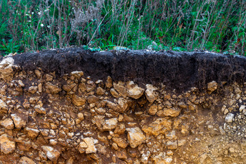 Soil cut-sandstone, stones, clay, sand structure and layers. slice of sand with layers of different structures. Layers of sedimentary sandstone rock