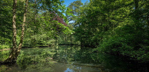 Teich mit Bäumen im Schlosspark Berlin-Buch