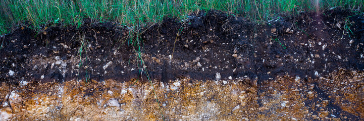 The curb erosion from storms. To indicate the layers of soil and rock. Nature cross section soil...