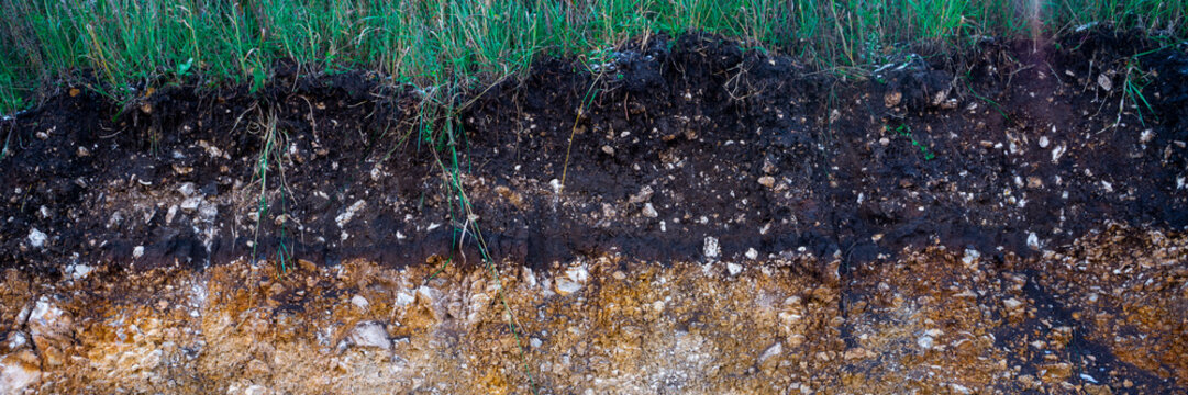 The curb erosion from storms. To indicate the layers of soil and rock. Nature cross section soil underground with green grass, cutaway earth ground terrain surface.
