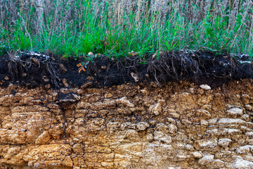 The curb erosion from storms. To indicate the layers of soil and rock. Nature cross section soil underground with green grass, cutaway earth ground terrain surface.