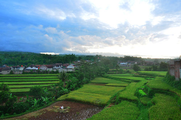 view of rice terraces and countryside in Asia
