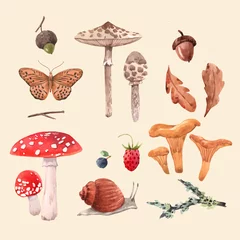 Aquarell-Wald-Vektor-Set © Zenina-Lembrik