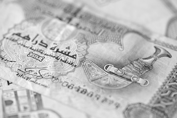 United Arab Emirates dirhams close up. Monochrome money background