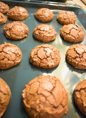 Chocolate Brownie Cookies Fresh Homemade