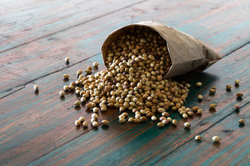 Organic Dried coriander seeds in paper sack bag on colored rustic background.