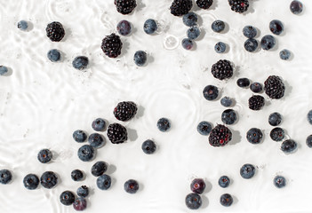 Organic blueberries and blackberries in water on the white background. Top view