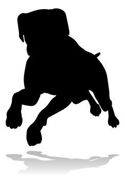 recommend clip art: A detailed animal silhouette of a pet dog