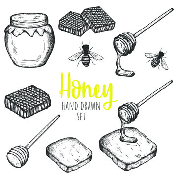Honey hand drawn design elements set, vector isolated vintage design.