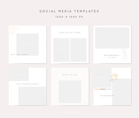 Social media identity for pet lovers. Set of insta post templates.