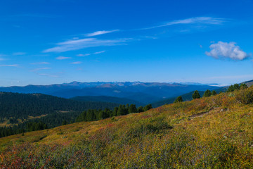 view of mountains and forest