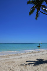 The beach on tropical island