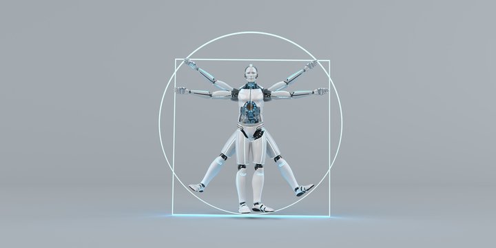 The Vitruvian Humanoid Robot